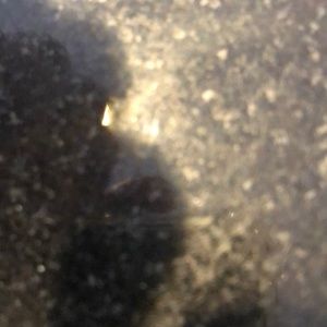 Meet your Posher, Besim